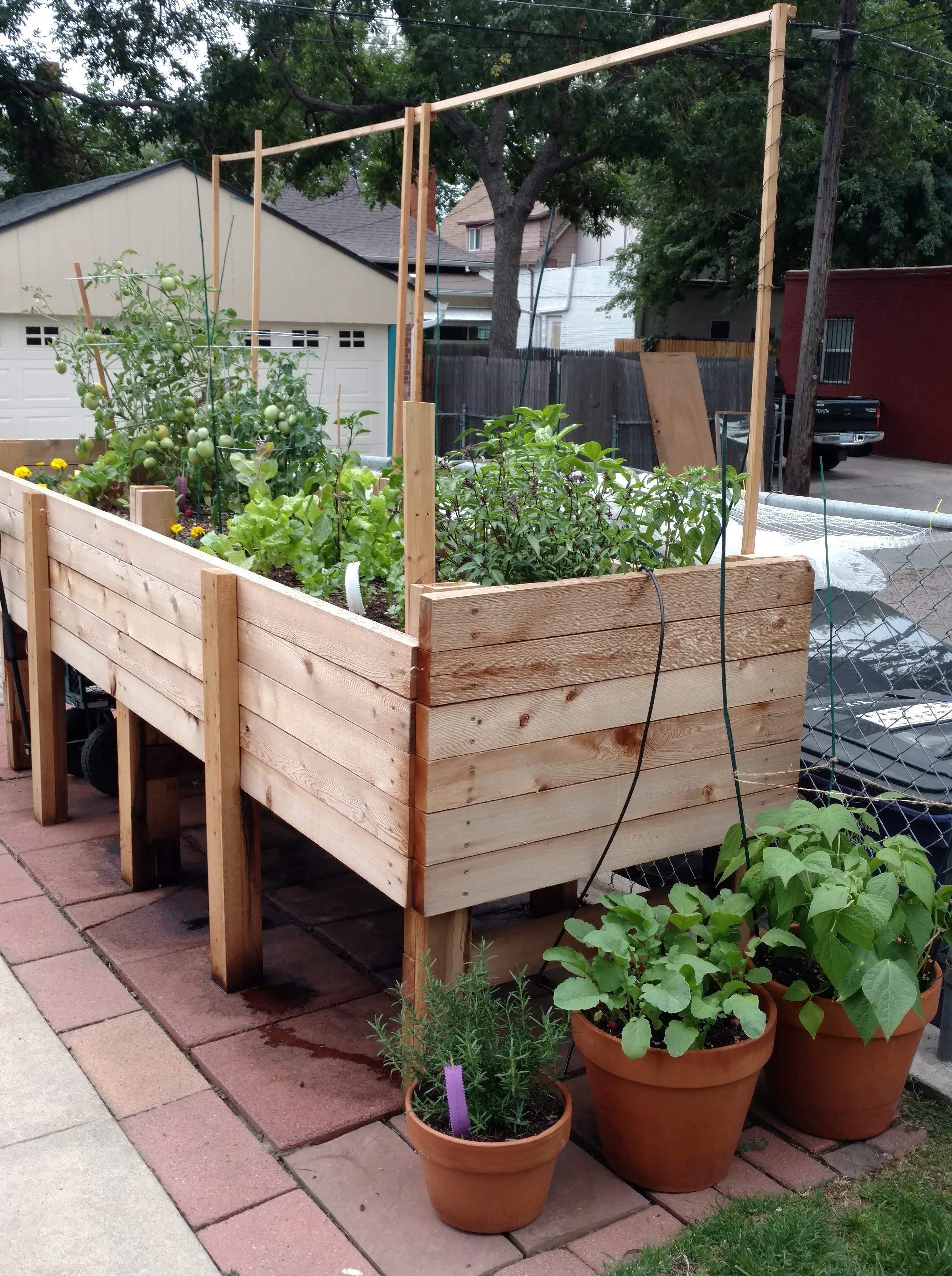 Garden Box